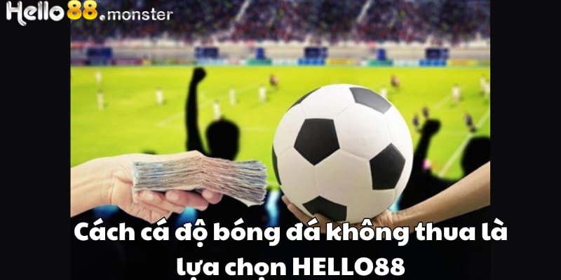 Cách cá độ bóng đá không thua là lựa chọn HELLO88