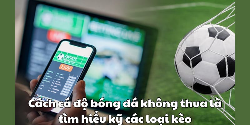 Cách cá độ bóng đá không thua là tìm hiểu kỹ các loại kèo