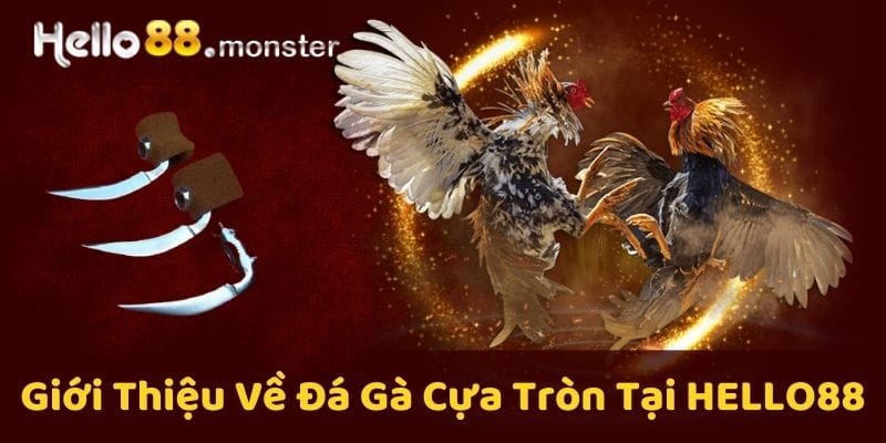 Đá gà cựa tròn - Đánh giá sự thu hút và tiềm năng sinh lời 2024