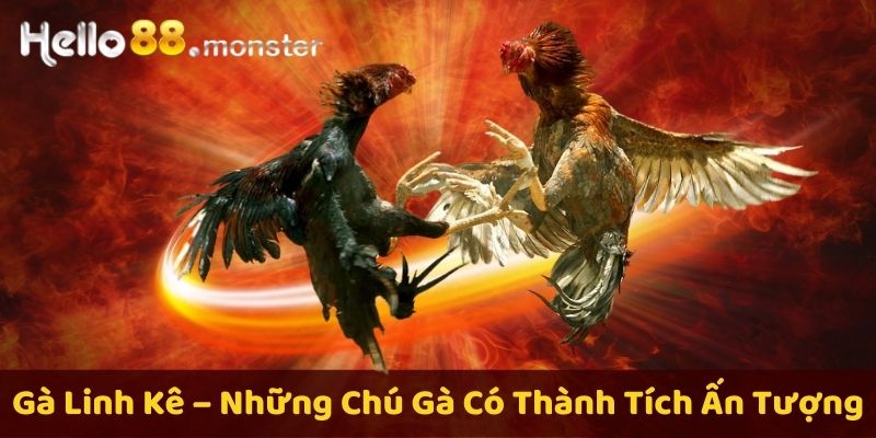 Gà linh kê - Loại gà quý hiếm với đặc điểm độc đáo