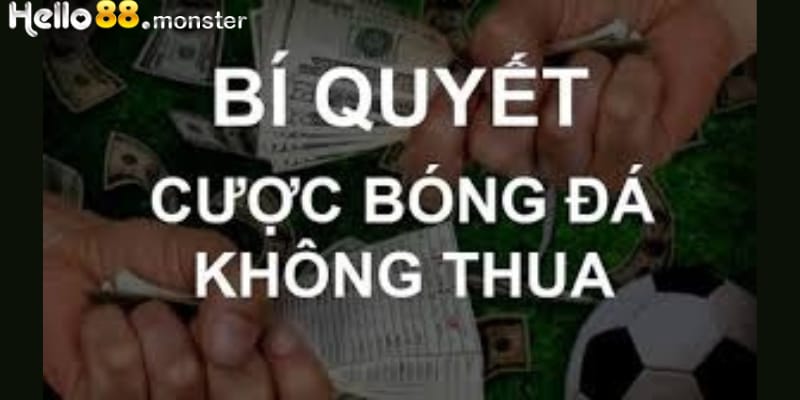 Luôn tìm tòi những thông tin bóng đá là cách cá độ bóng đá không thua