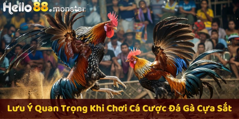 Mẹo quan trọng khi cá cược đá gà cựa sắt