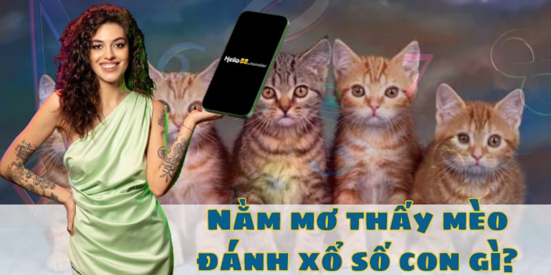 Nằm mơ thấy mèo nên đánh xổ số con gì?