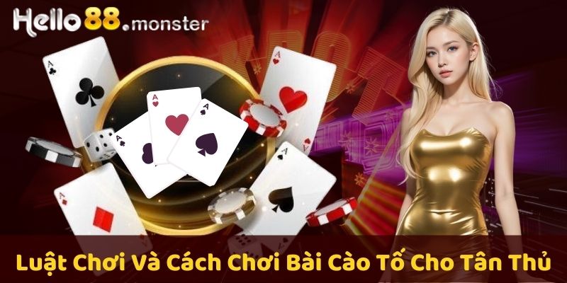 Luật chơi bài cào tố - Hướng dẫn dành cho người mới