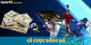 cá cược bóng đá